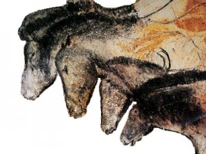 Höhle von Chauvet