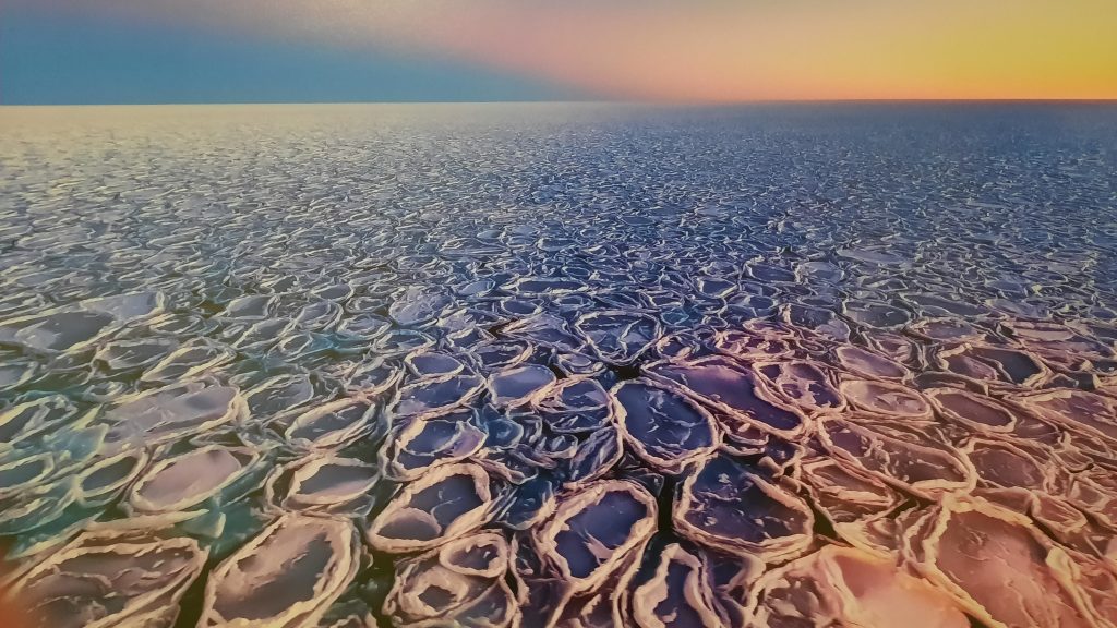 Das Bild zeigt „Pfannkucheneis“ bei Abendlicht in der Antarktis. Es entsteht, wenn leichter Seegang dünnen Eisschlamm zu kleinen Schollen mit wulstigen Rändern formt. Blatt März des mare-Meeresblicke-Kalenders 2021. Foto: Stefan Hendricks / AWI